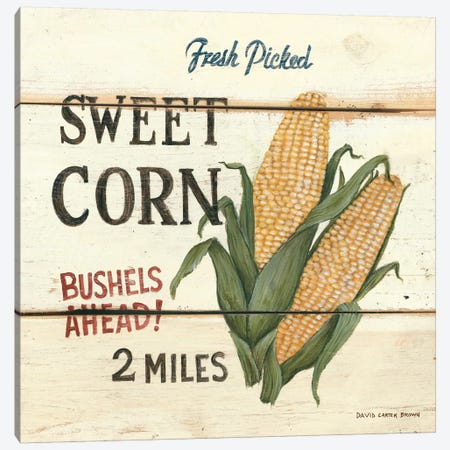 Fresh Picked Sweet Corn Canvas Print #WAC475} by David Carter Brown Canvas Artwork