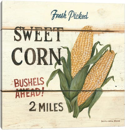Fresh Picked Sweet Corn Canvas Art Print - David Carter Brown