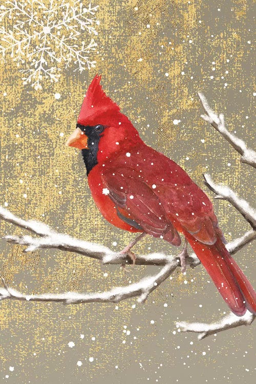 Cardinal I by Beth Grove wall art