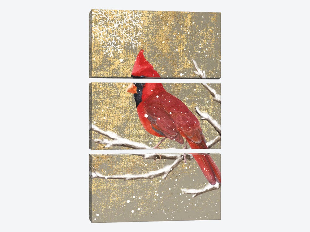 Cardinal I by Beth Grove 3-piece Canvas Art Print