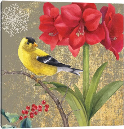 Goldfinch I Canvas Art Print - Berry Art