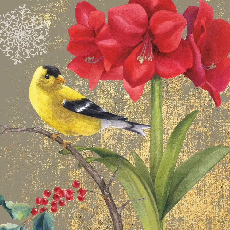 Goldfinch I by Beth Grove wall art