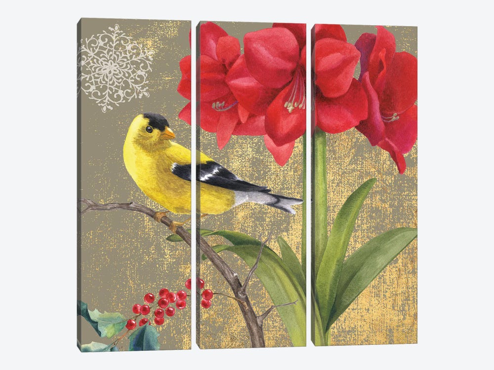 Goldfinch I by Beth Grove 3-piece Canvas Artwork