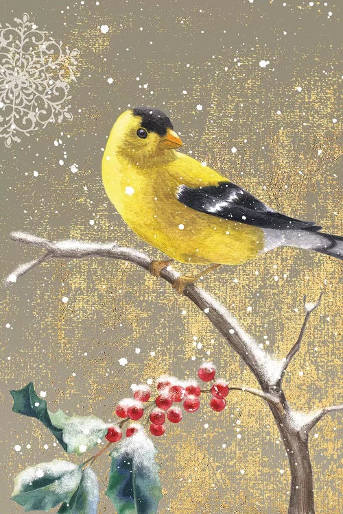 Goldfinch II by Beth Grove canvas print