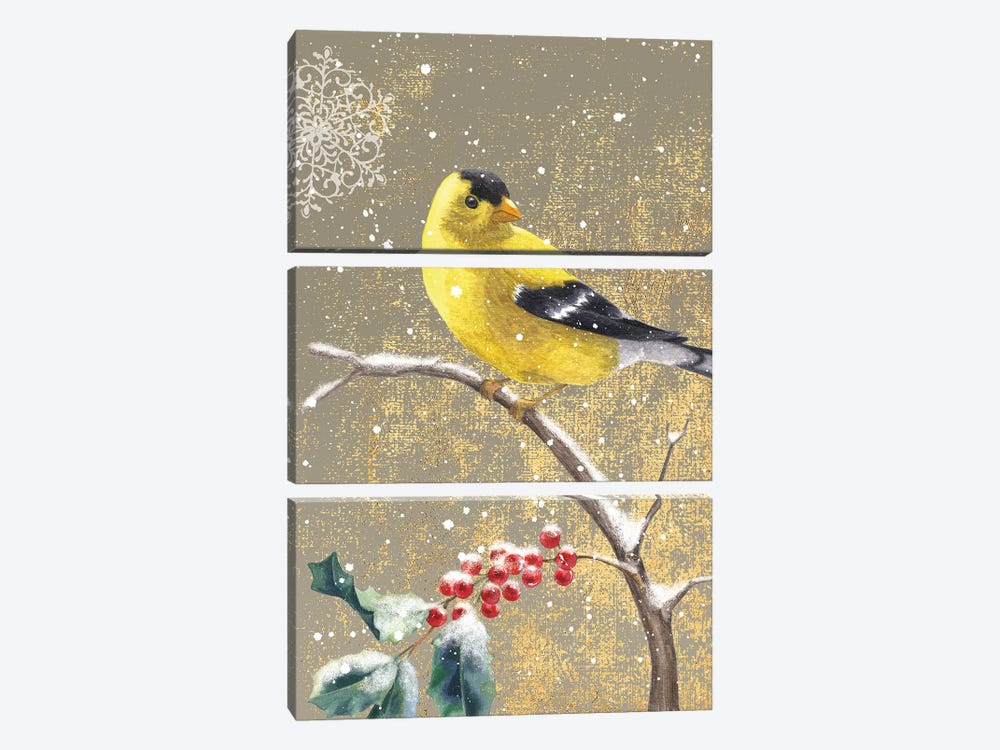 Goldfinch II by Beth Grove 3-piece Art Print