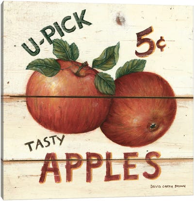 Tasty Apples Canvas Art Print - David Carter Brown