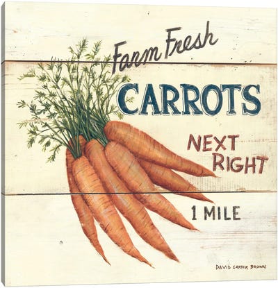 Farm Fresh Carrots Canvas Art Print - David Carter Brown