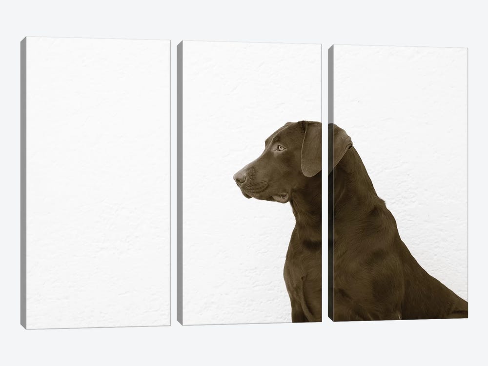 I See You 3-piece Canvas Art