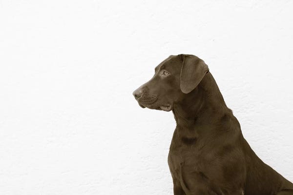 Sepia Photography: I See You by Jim Dratfield