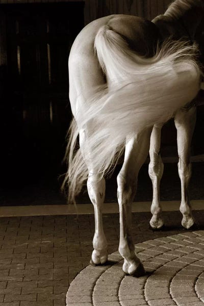 Sepia Photography: Swoosh by Jim Dratfield