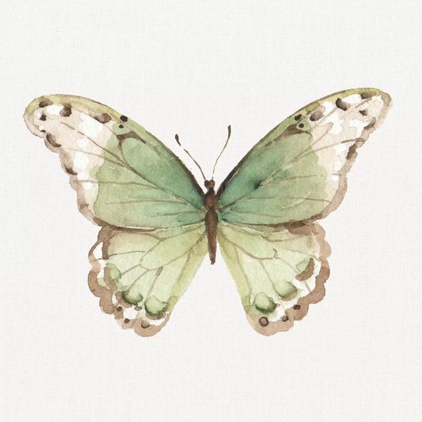 Butterflies: Colorful Breeze XII by Lisa Audit