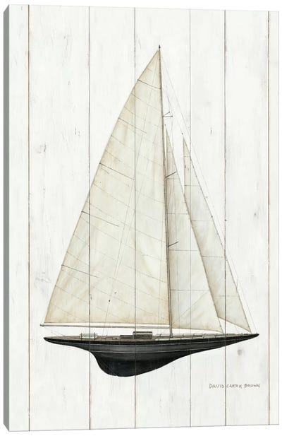 Sailboat II Canvas Art Print - David Carter Brown