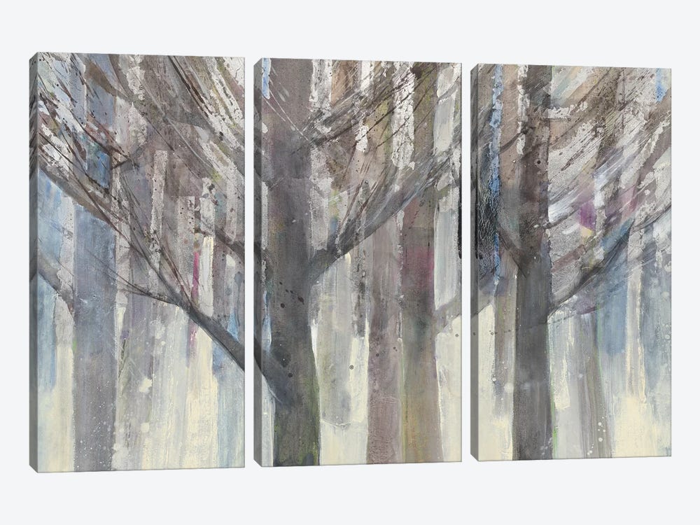 Forest Light by Albena Hristova 3-piece Canvas Print