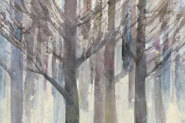 Forests: Forest Light by Albena Hristova