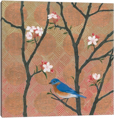 Cherry Blossoms I Canvas Art Print - Kathrine Lovell