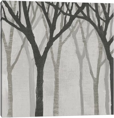 Spring Trees Greystone I Canvas Art Print