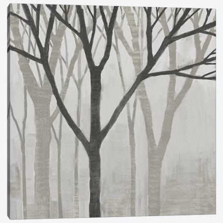 Spring Trees Greystone II Canvas Print #WAC4913} by Kathrine Lovell Art Print