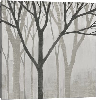 Spring Trees Greystone II Canvas Art Print - Gray Art