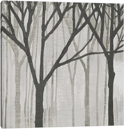 Spring Trees Greystone III Canvas Art Print - Rustic Décor