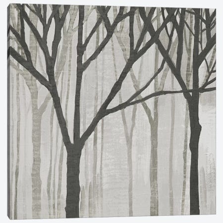 Spring Trees Greystone III Canvas Print #WAC4914} by Kathrine Lovell Canvas Wall Art