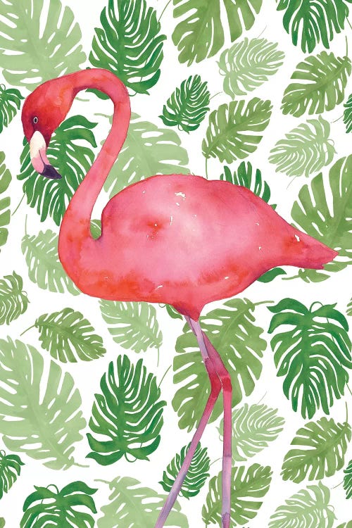 Tropical Flamingo II