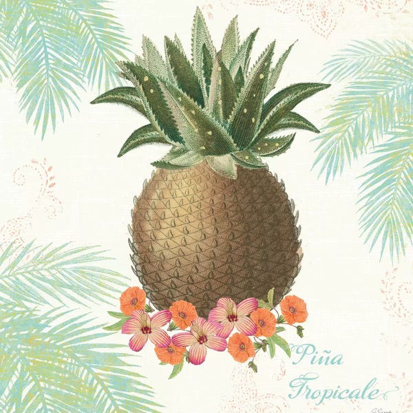 Pineapples: Flamingo Tropicale IV by Sue Schlabach