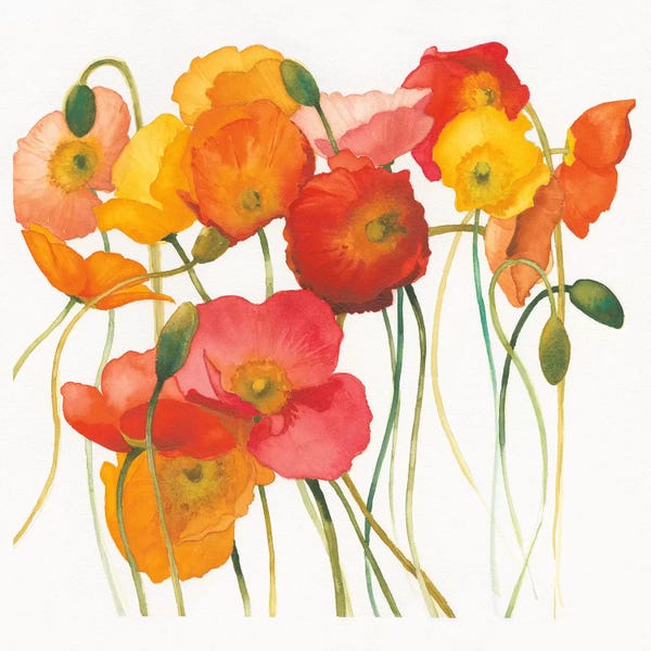 Poppies: Fall Icelands by Shirley Novak