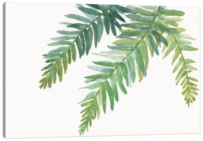 Ferns I Canvas Art Print - Green Leaves 