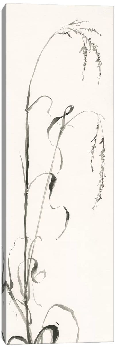 Gray Grasses III Canvas Art Print