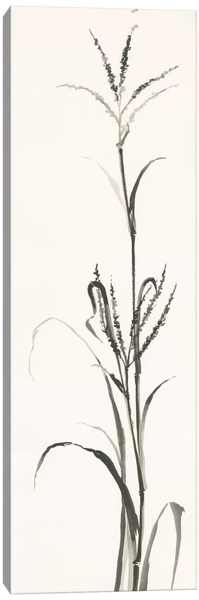 Gray Grasses IV Canvas Art Print - Minimalist Nature