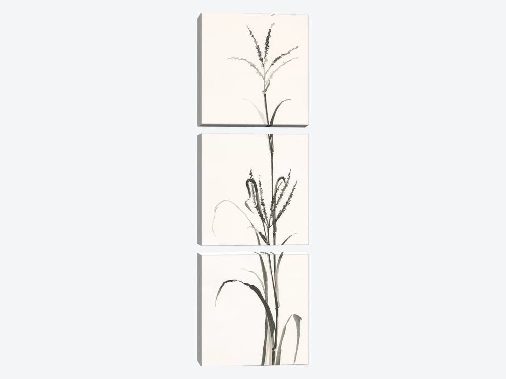Gray Grasses IV 3-piece Canvas Art