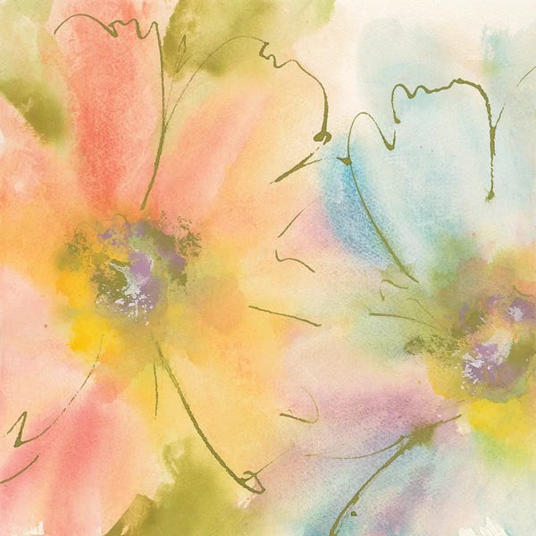 Cosmos: Rainbow Cosmos I by Chris Paschke