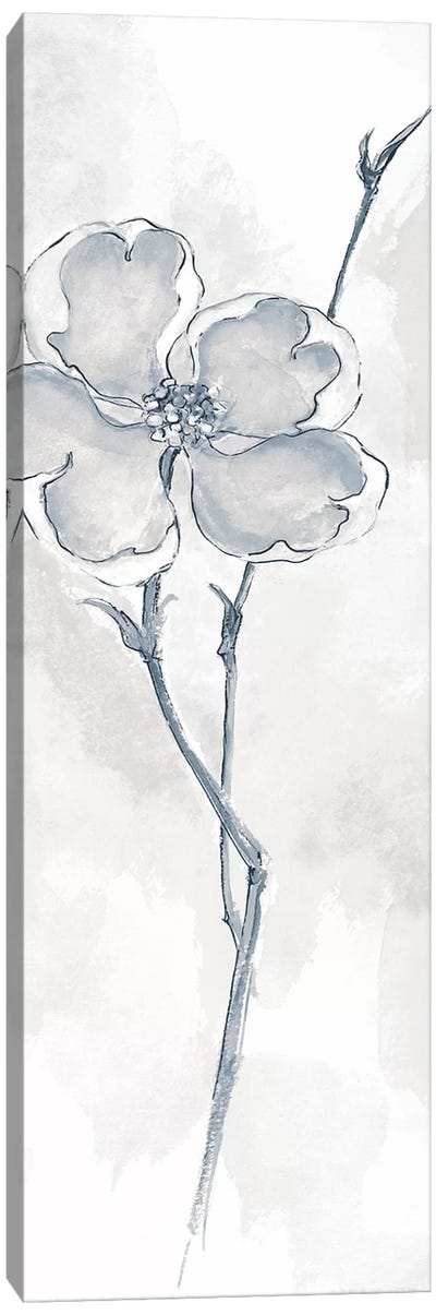 Solitary Dogwood II Canvas Art Print - Mercurial Grays