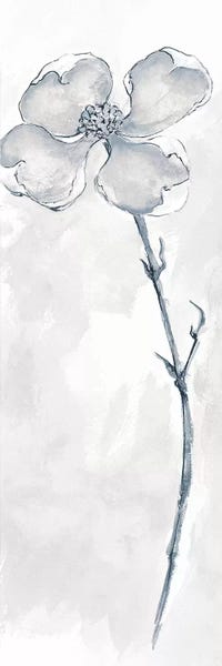 Chris Paschke: Solitary Dogwood III by Chris Paschke