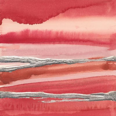 Silver Marsh by Chris Paschke framed wall art