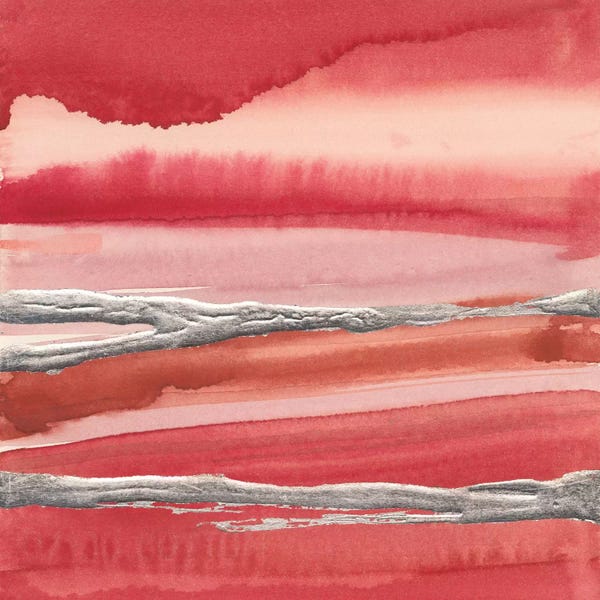 Chris Paschke: Silver Marsh by Chris Paschke