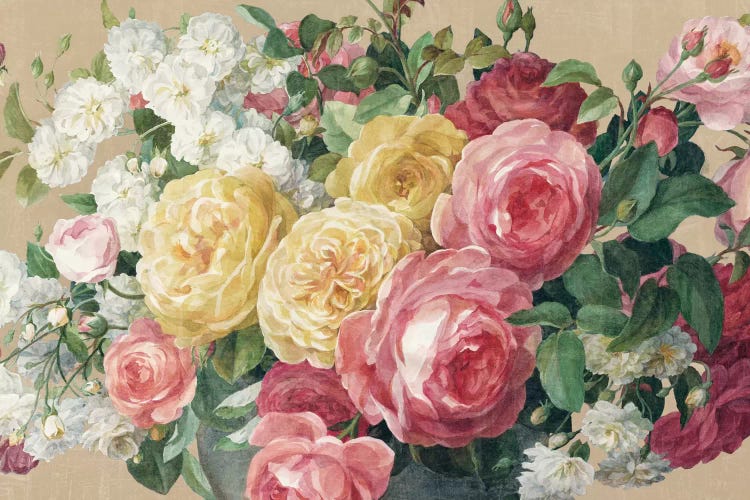 Antique Roses In Zoom by Danhui Nai canvas print