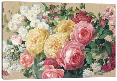 Antique Roses In Zoom Canvas Art Print - Botanical Still Life