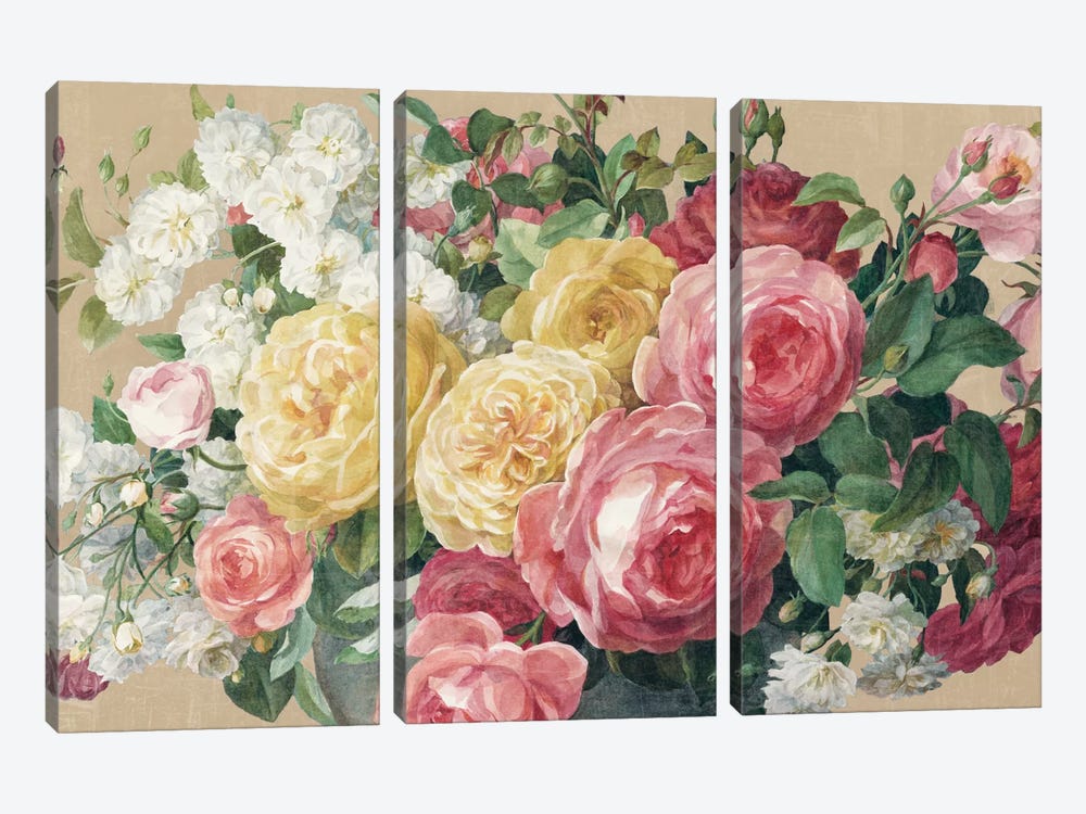 Antique Roses In Zoom by Danhui Nai 3-piece Canvas Art