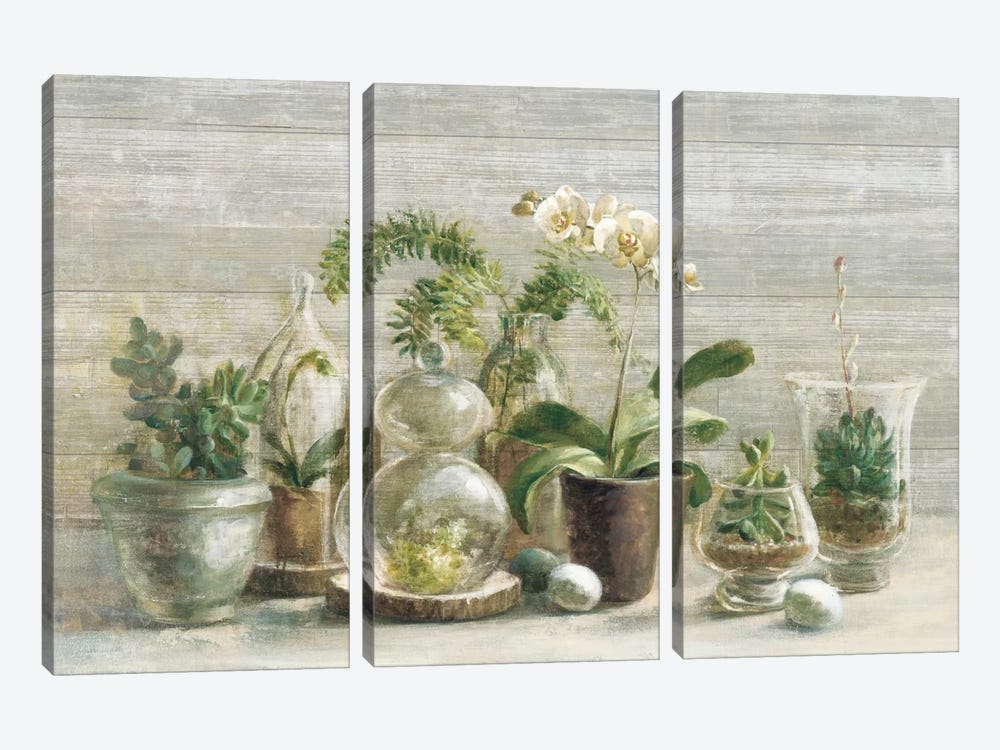 Greenhouse Orchids On Wood II by Danhui Nai 3-piece Canvas Art