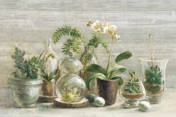 Greenhouse Orchids On Wood II