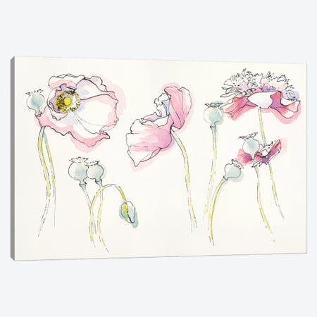 Pink Somniferums Canvas Print #WAC5228} by Shirley Novak Canvas Art