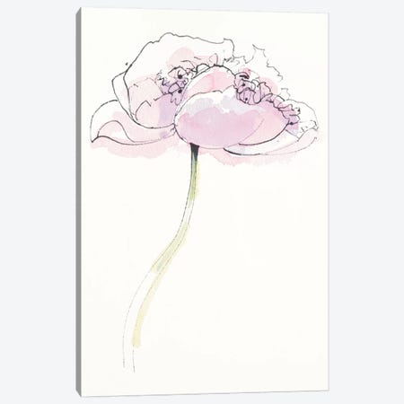 Single Pink Somniferum II Canvas Print #WAC5230} by Shirley Novak Art Print