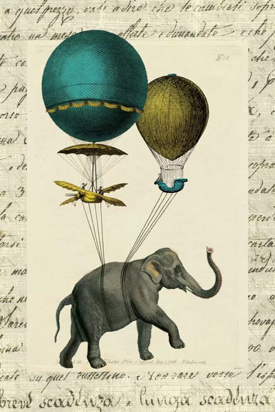 Sue Schlabach: Elephant Ride I by Sue Schlabach
