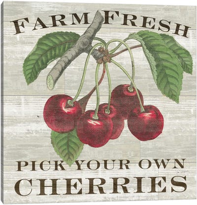 Farm Fresh Cherries Canvas Art Print - Fruit Art