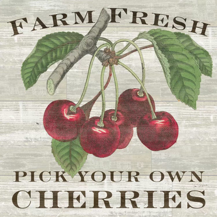 Farm Fresh Cherries by Sue Schlabach wall art