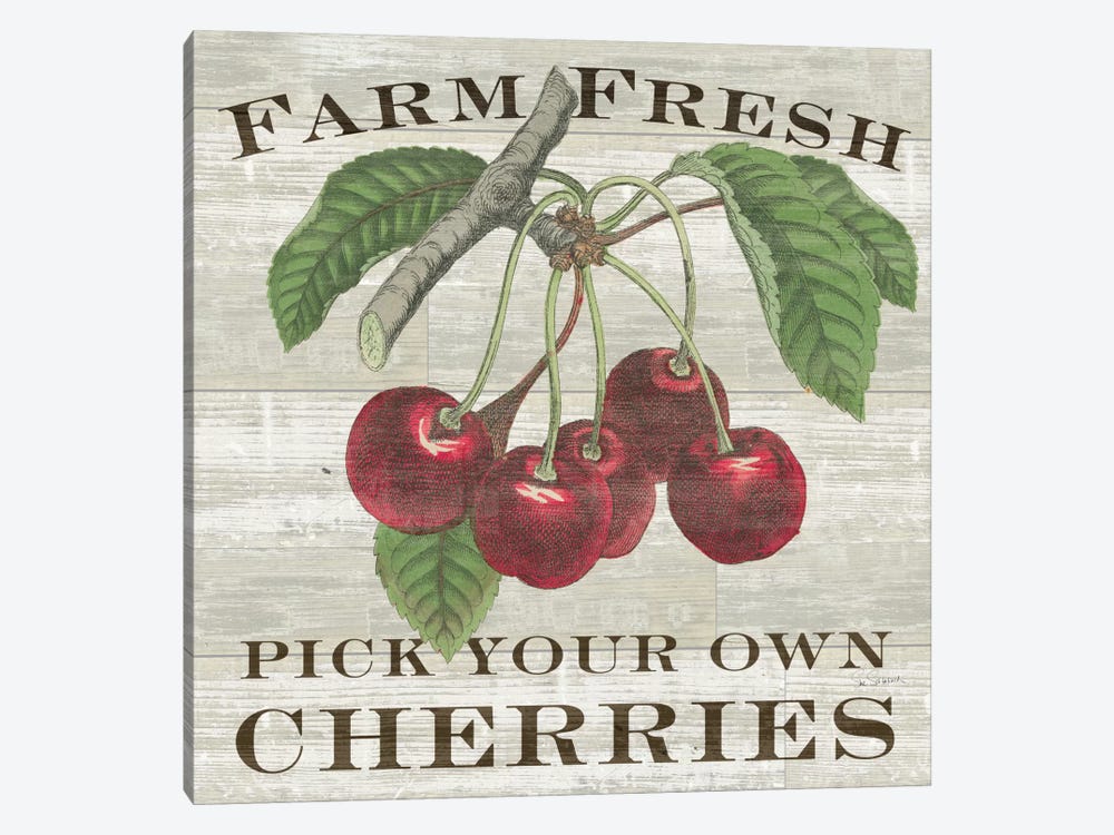 Farm Fresh Cherries by Sue Schlabach 1-piece Canvas Art Print
