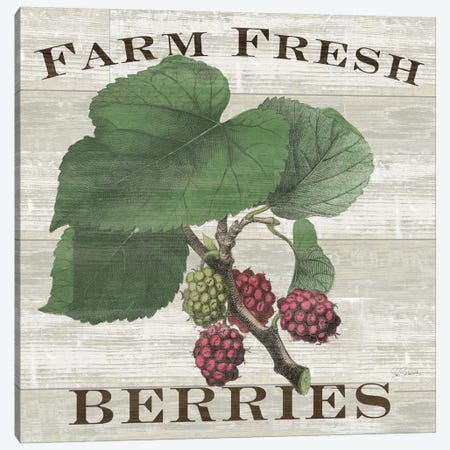 Farm Fresh Raspberries Canvas Print #WAC5245} by Sue Schlabach Art Print