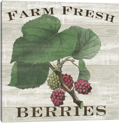 Farm Fresh Raspberries Canvas Art Print - Farmhouse Kitchen Art
