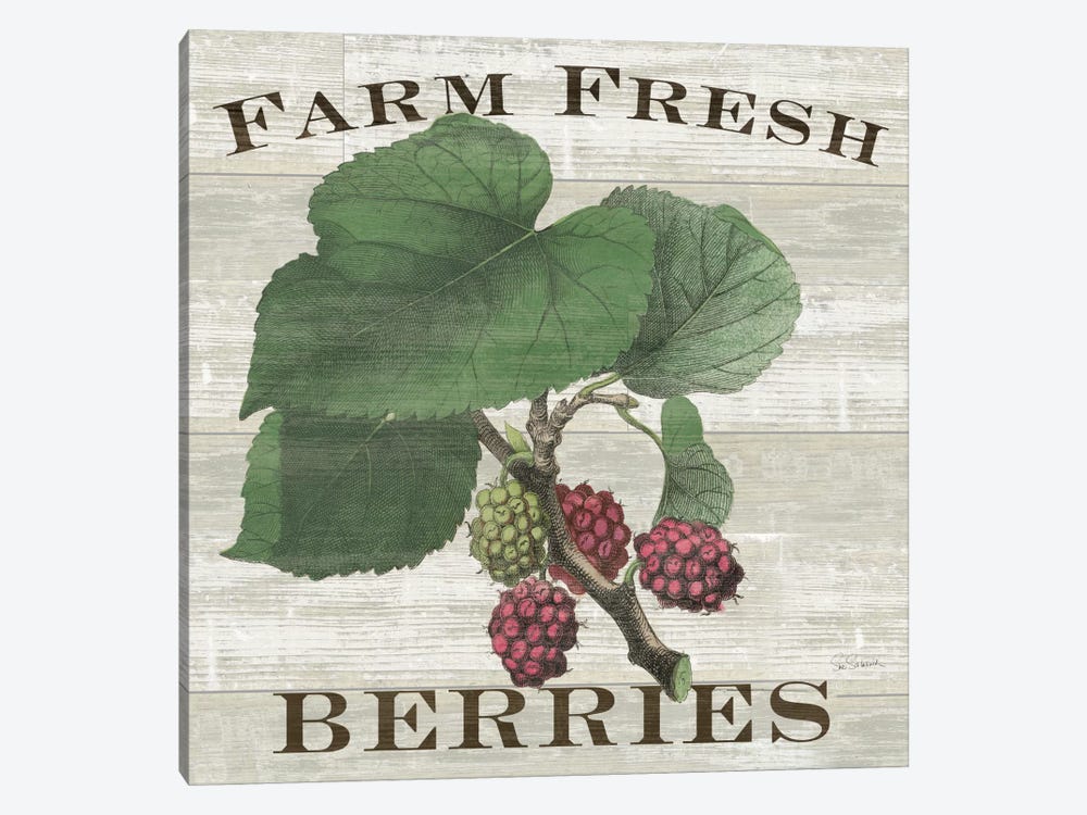 Farm Fresh Raspberries by Sue Schlabach 1-piece Canvas Art